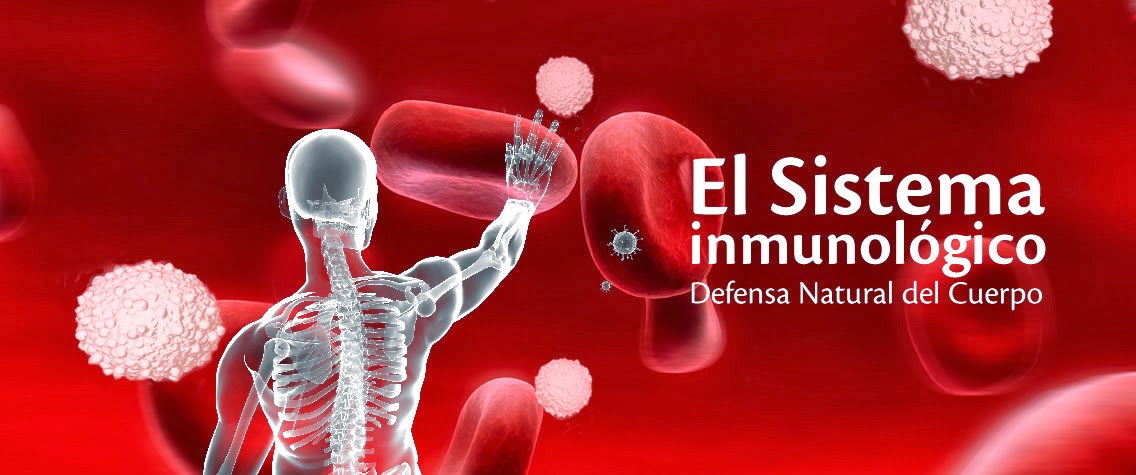 Como aumentar las defensas del sistema inmunológico